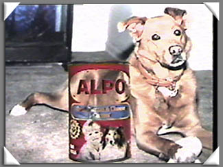 ALPO Dog Food Commercial